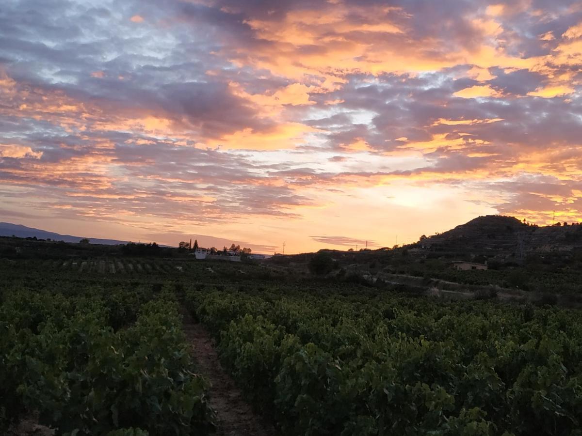 Bed & Breakfast Osante Labastida